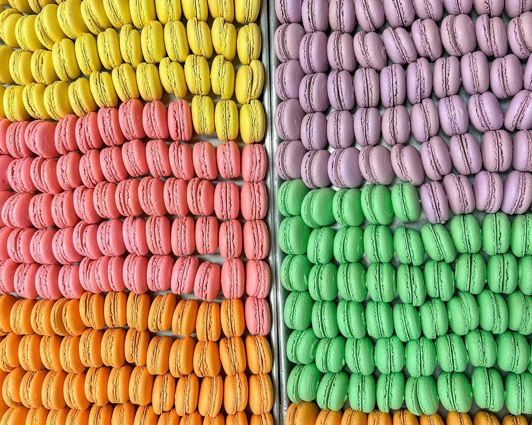 An array of macarons from Cookie and Crumb Bakeshop in Corpus Christi, Texas.