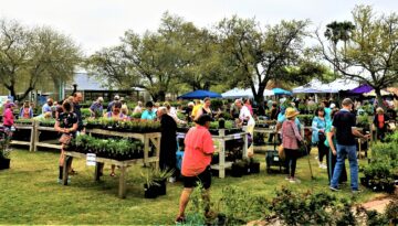 The Big Bloom Mega Plant Sale & Garden Festival at South Texas Botanical Gardens in Corpus Christi.