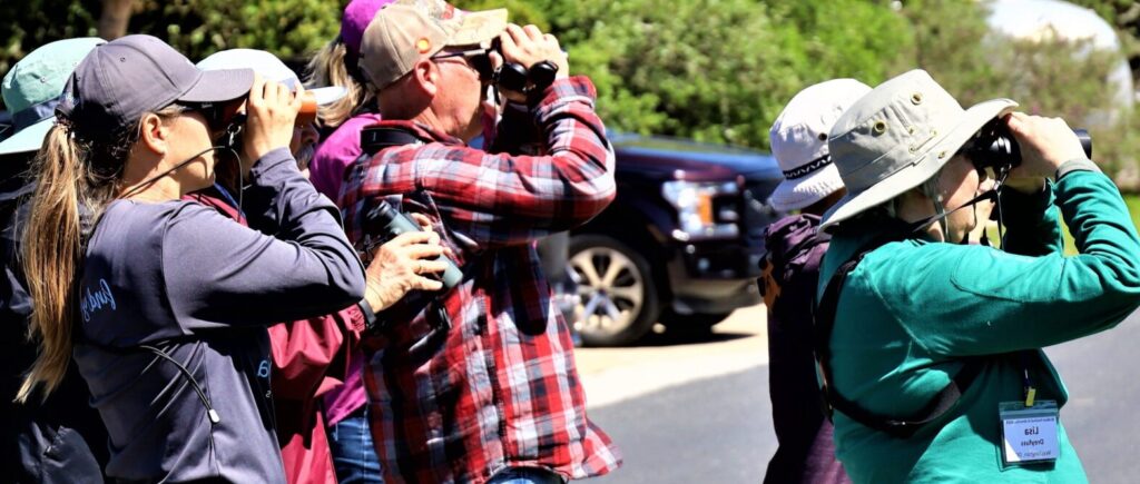 Birders participate in the Birdiest Festival in America in Corpus Christi, Texas. 