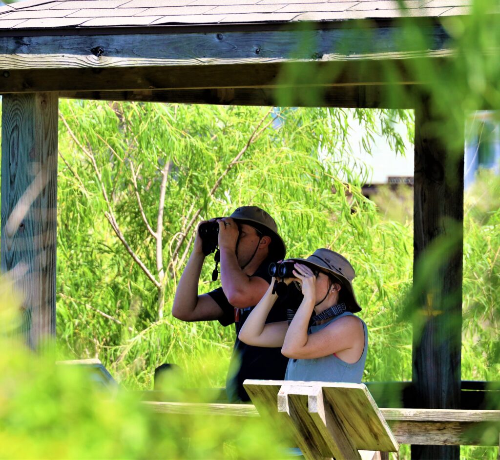 Birders participate in the Birdiest Festival in America in Corpus Christi, Texas. 