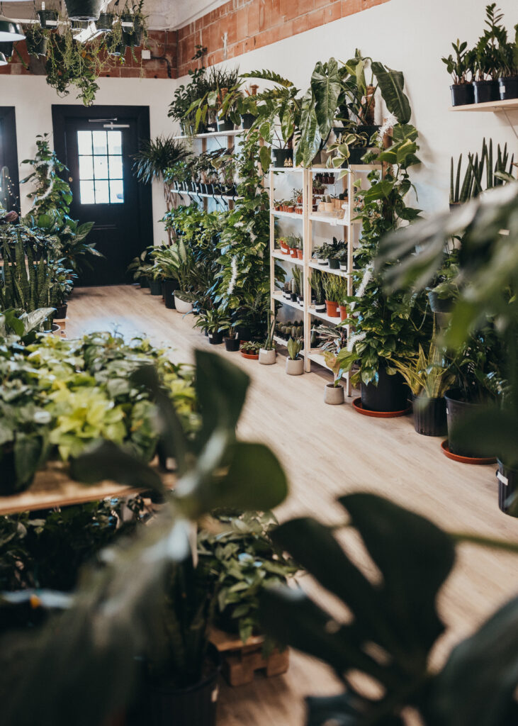 Planted's indoor tropical nursery.