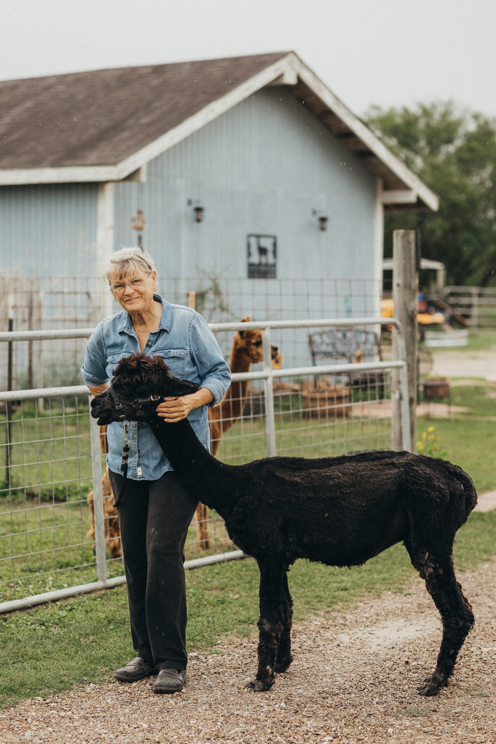 Lyn Christoph at Gulf Breeze Alpaca & Sheep Ranch & Lodging 