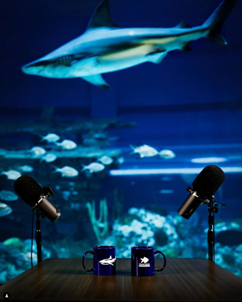 The Gulf Stream Podcast Shark Week episode recorded at the Texas State Aquarium