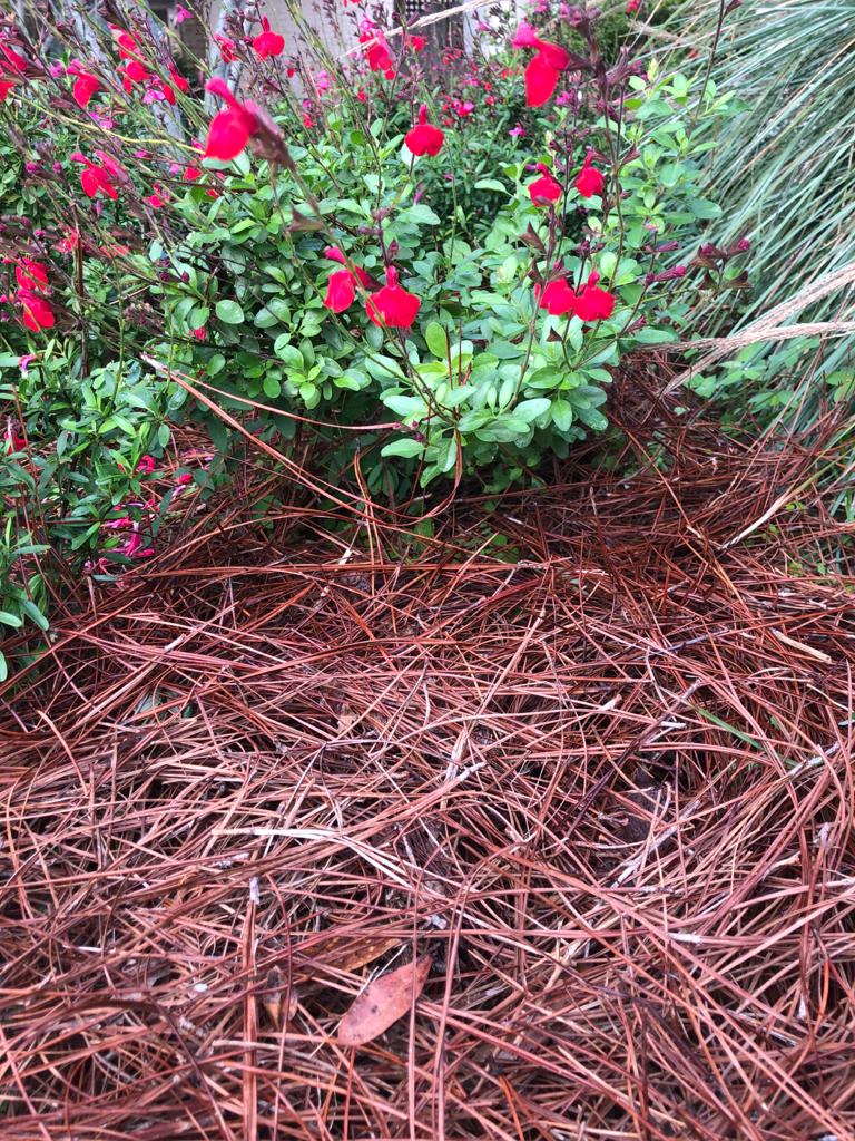 garden prep with Gill Garden Center + Landscape Co. 