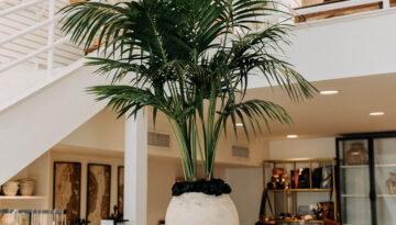 Interior shot of Wildflowers located in Downtown Corpus Christi, Texas.