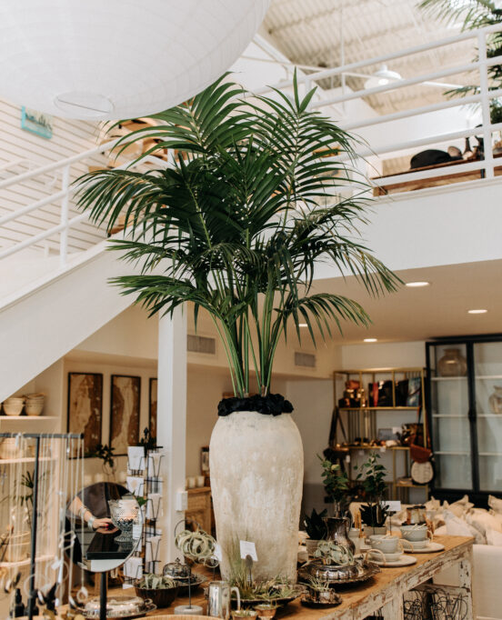 Interior shot of Wildflowers located in Downtown Corpus Christi, Texas.