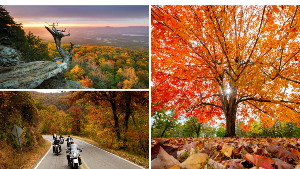 Images depict fall scenery in Hot Springs, Arkansas. 