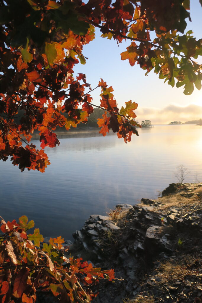Broken Bow Lake at Beavers Bend State Park