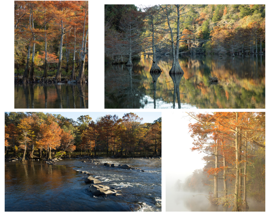 Broken Bow in the Fall