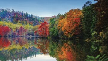 Beavers Bend State Park located in the mountainous region of southeast Oklahoma along the shores of Broken Bow Lake and the Mountain Fork River.