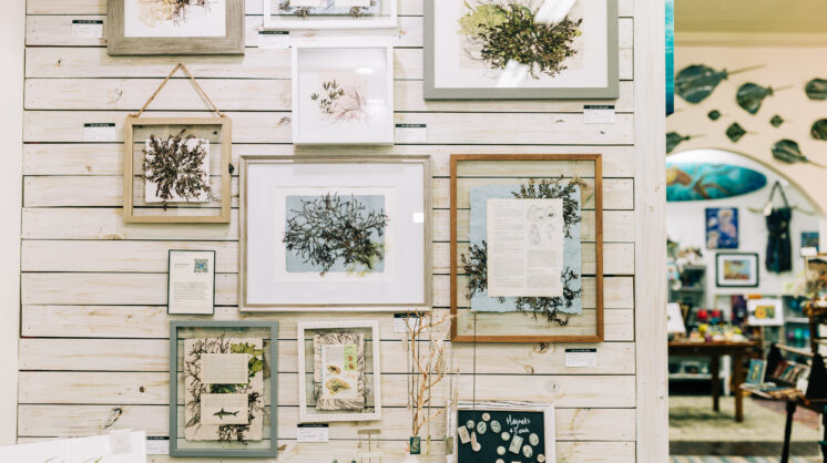 Moon Over Water Gallery in Rockport, TX