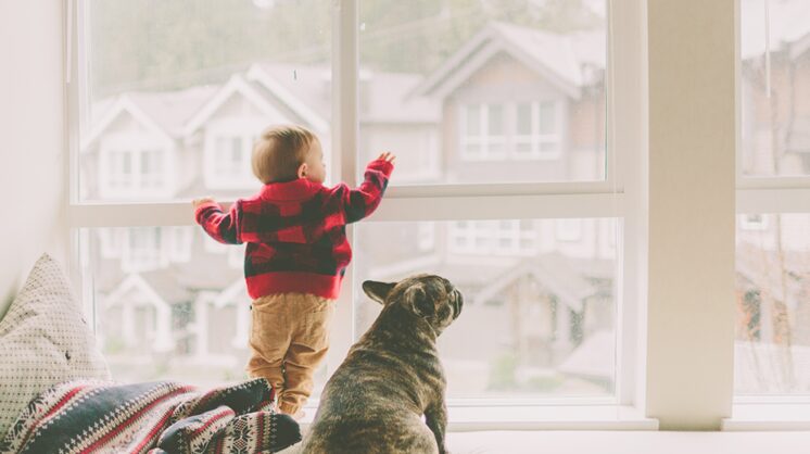 Budget Blinds provides child-safe window coverings