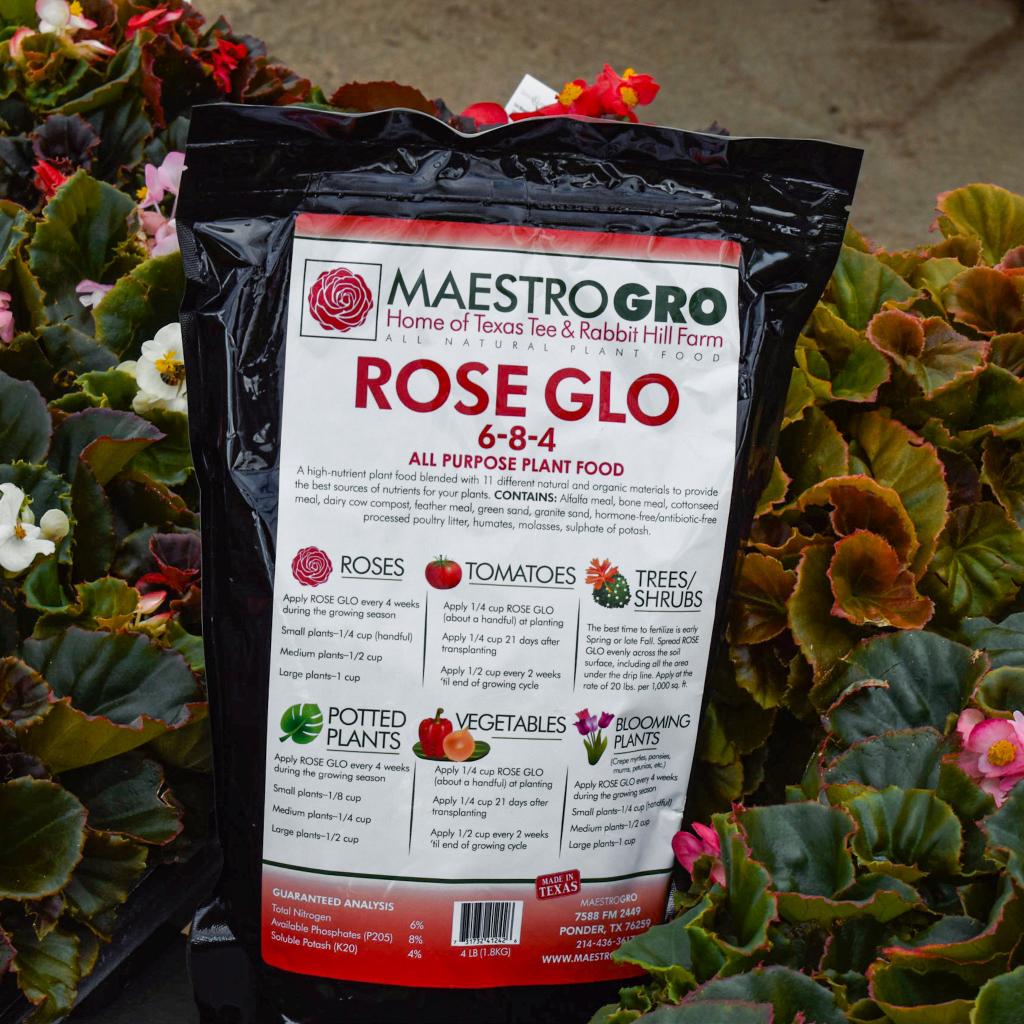 tips for fall flower planting at Gill Garden Center + Landscape Co.