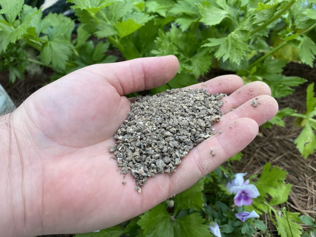 Gill Garden Center + Landscape Co.'s recommendations for November planting