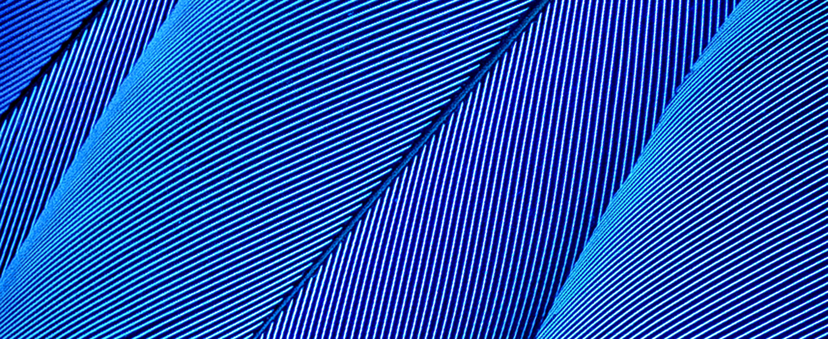 Photo from Coastal Bend Photographer, Rosa Lazaro