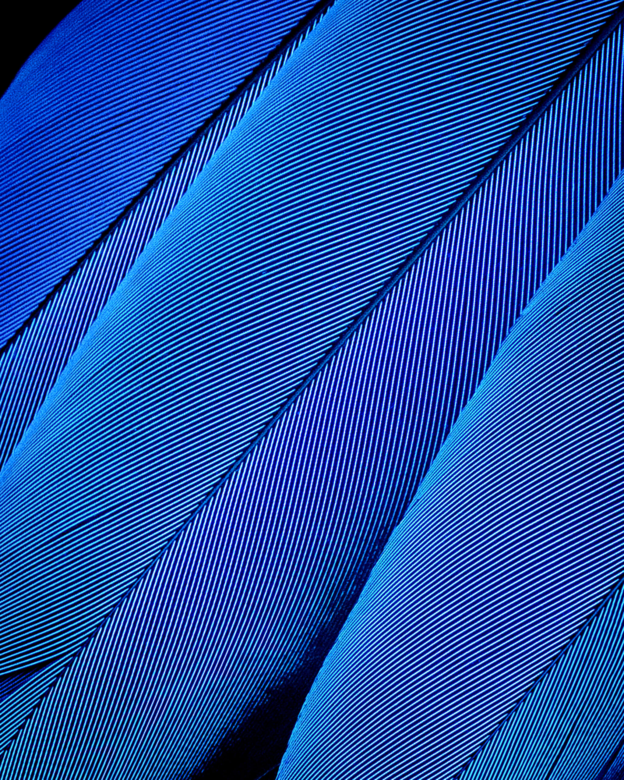 Photo from Coastal Bend Photographer, Rosa Lazaro