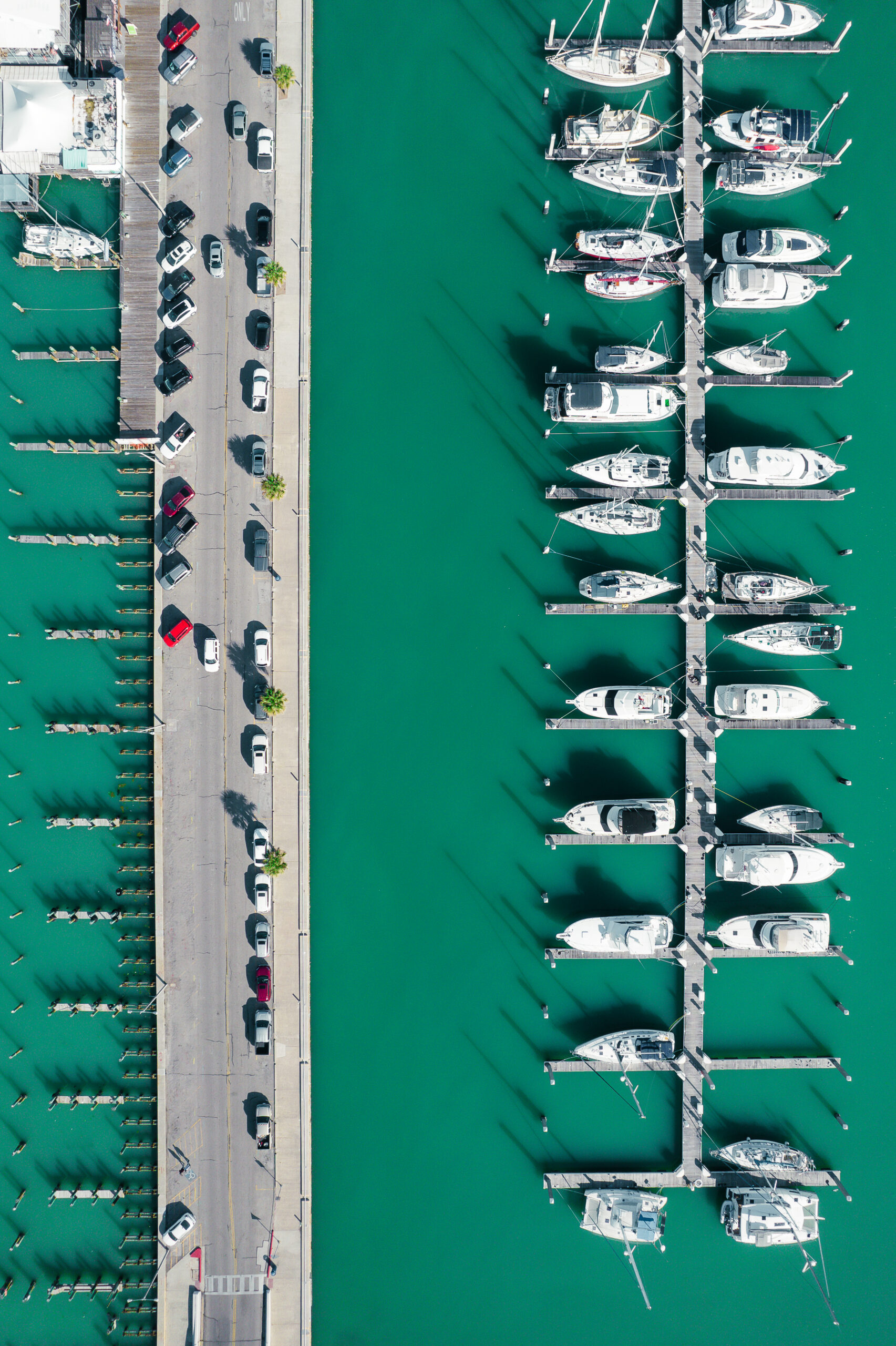 Photo by Coastal Bend Photographer JT Garza