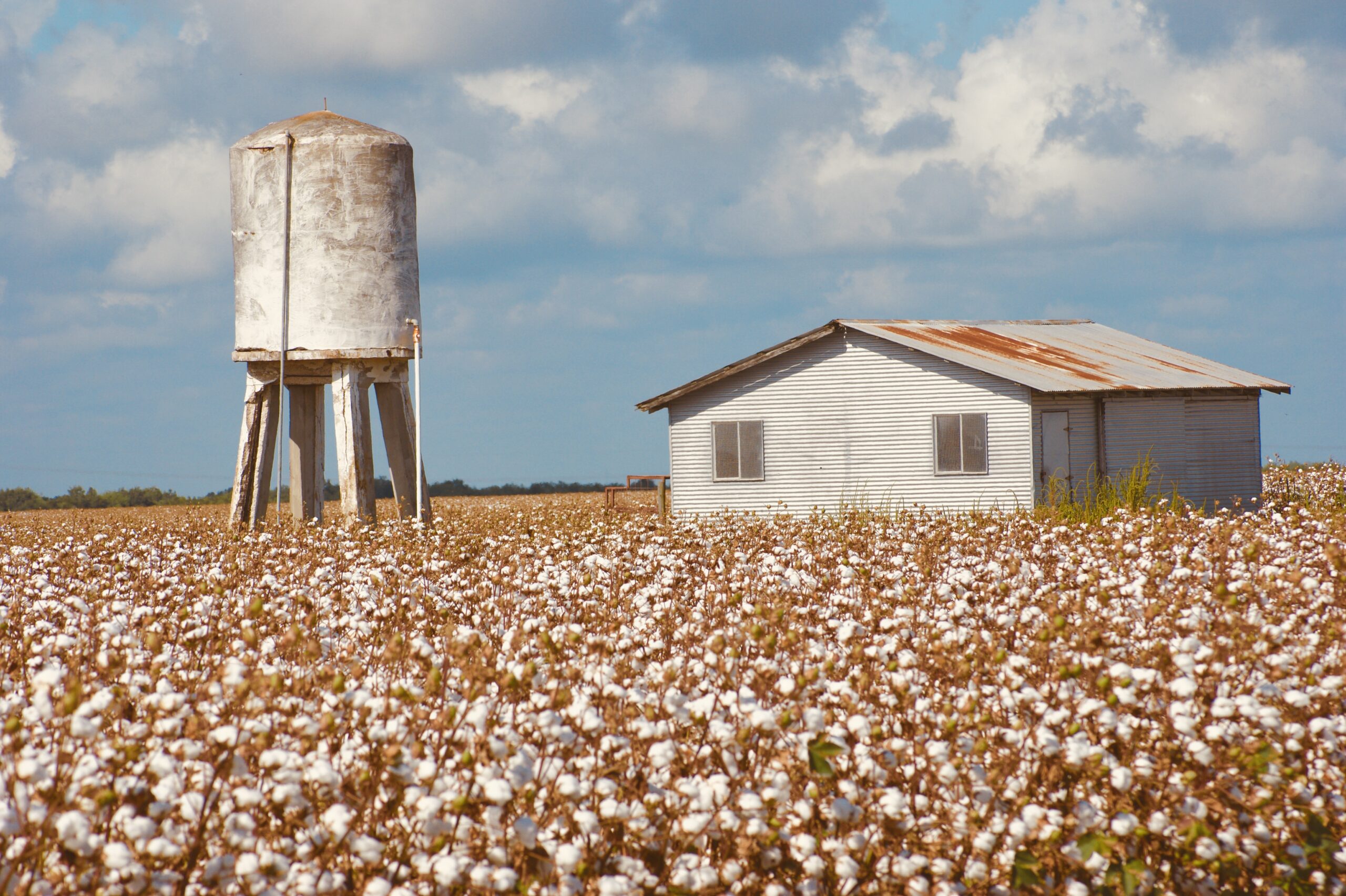 Photo by Coastal Bend Photographer, Belinda Hinojosa