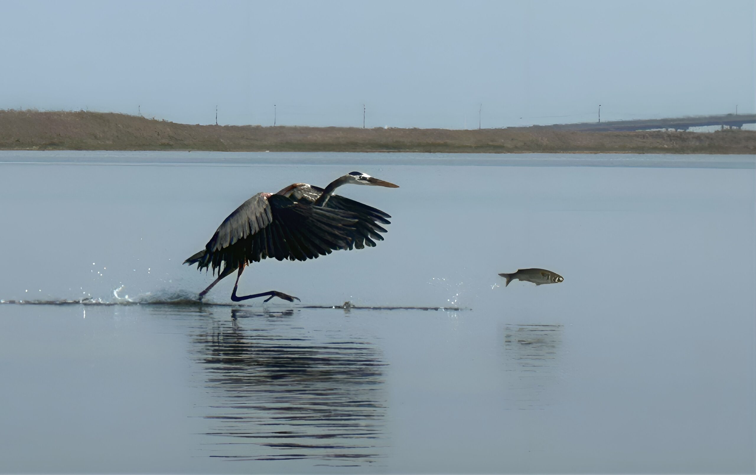 Photo by Coastal Bend photographer, Glenn Helwig