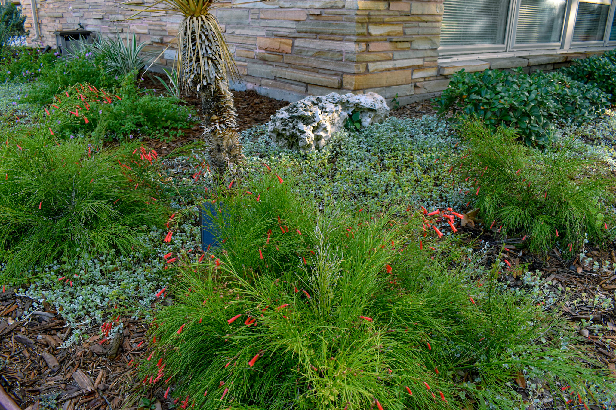 photo of a landscaping project from Gill Garden Center + Landscape Co.