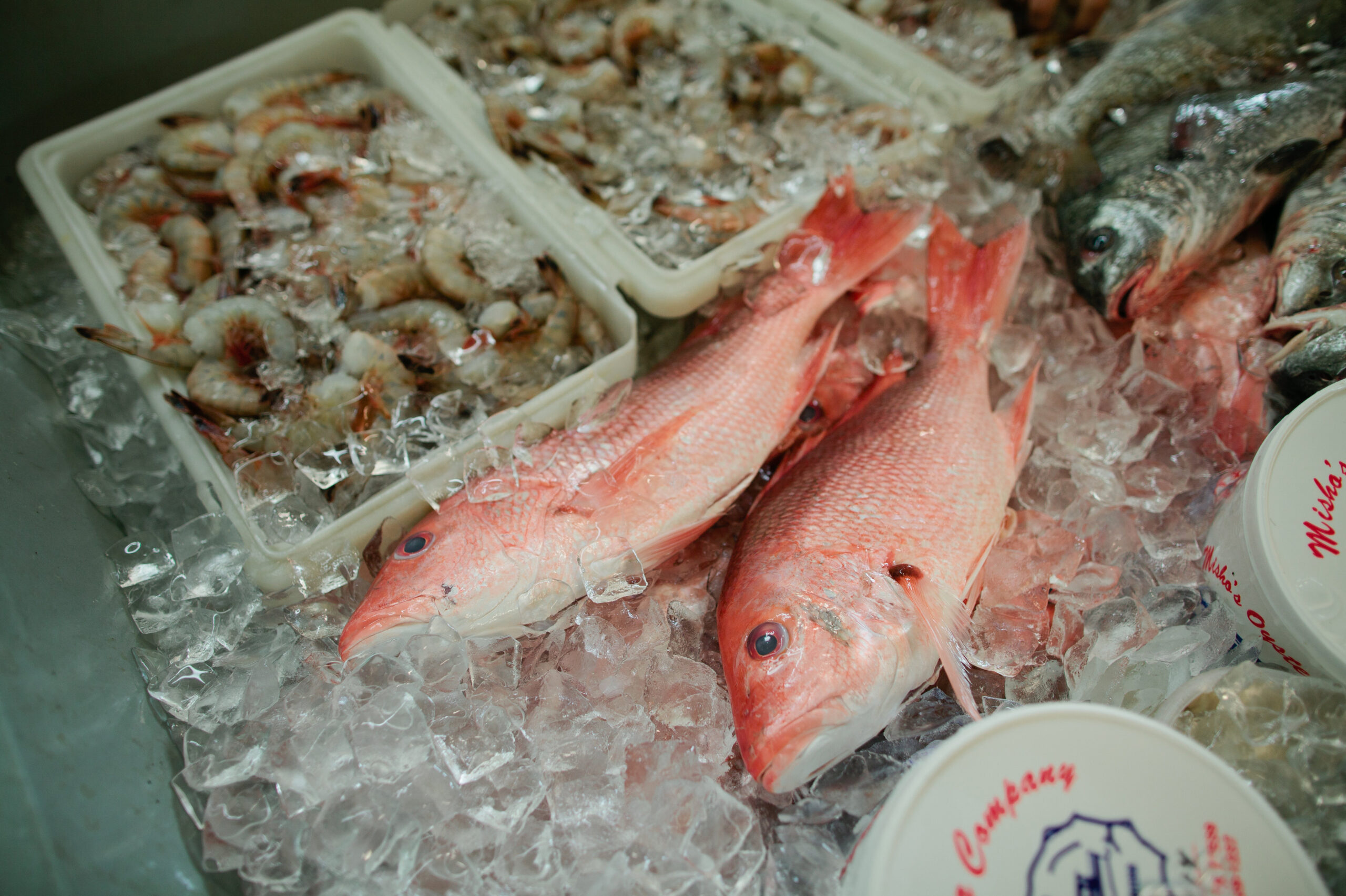 Morgan Street Seafood in Corpus Christi Texas