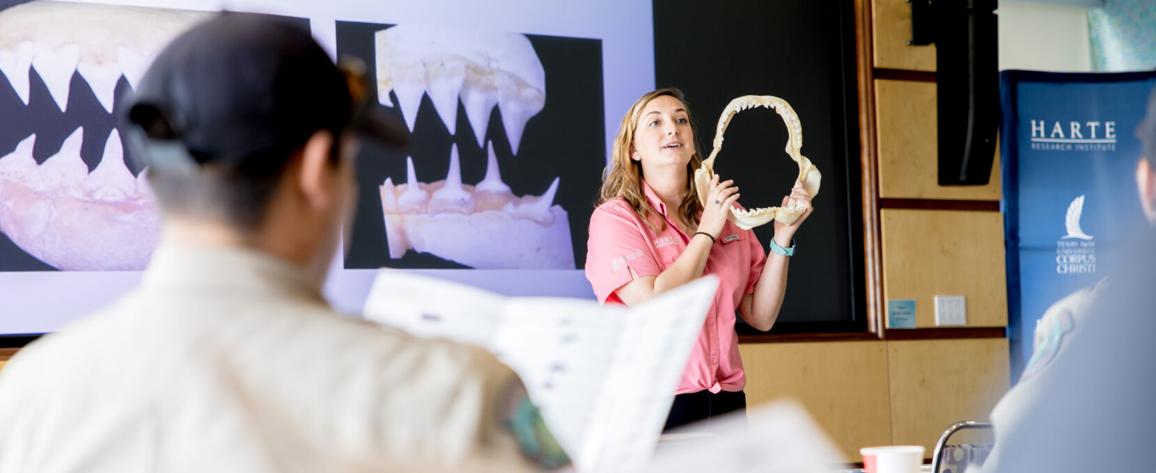Dr. Kesley Banks presents a shark jaw bone in Corpus Christi, Texas.