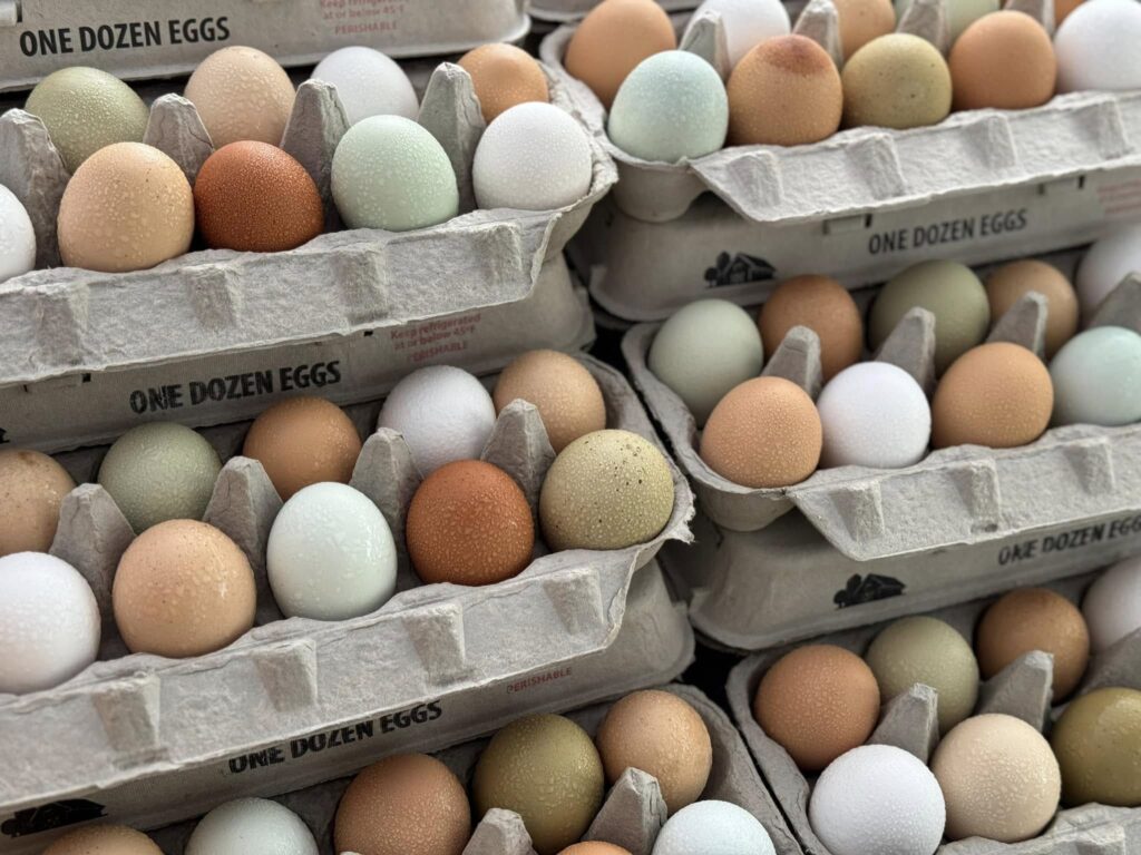 Eggs in cartons from Mother Clucker Farms.