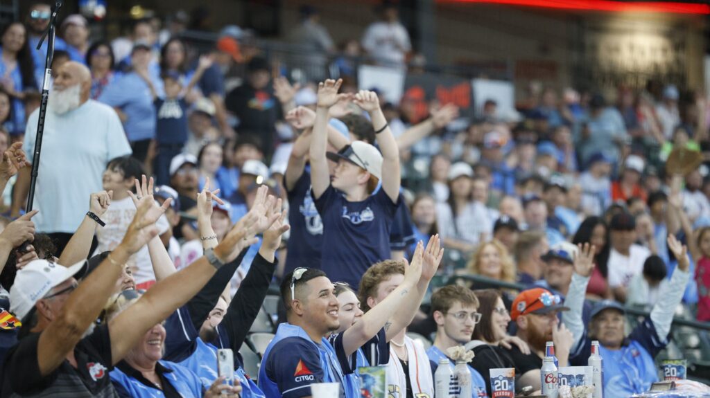 Crowd at baseball game cheering and chatting.