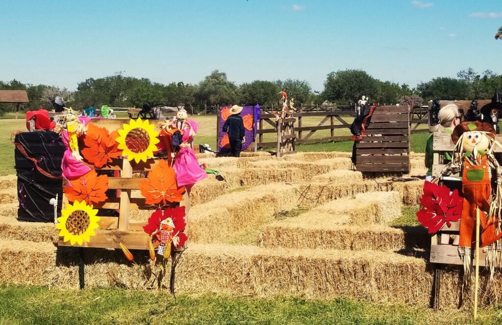 Hay-Maze at the Botanical Gardens